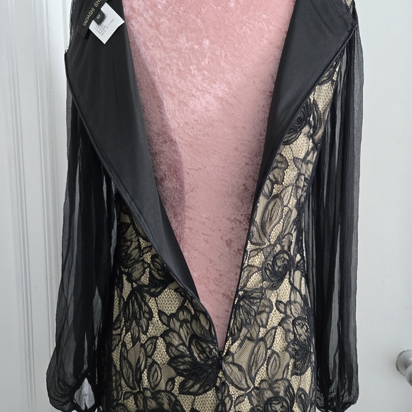 Tadashi Shoji Lace Overlay Sheer Sleeve Cocktail Evening Reception Dress Size 10 - Picture 5 of 10